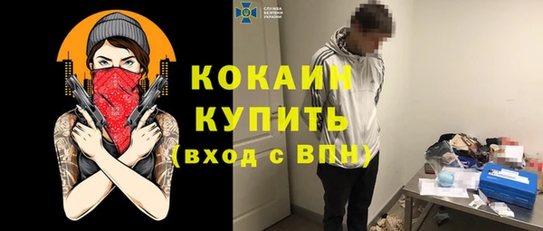 мяу мяу мука Елабуга