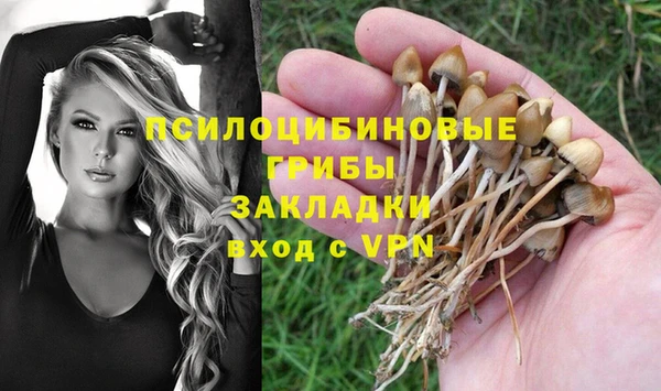 мяу мяу мука Ельня