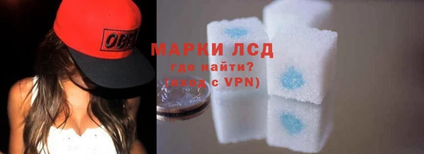 мяу мяу мука Елабуга