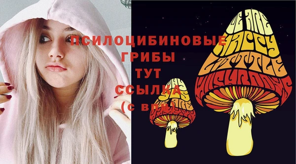 круглые Елизово