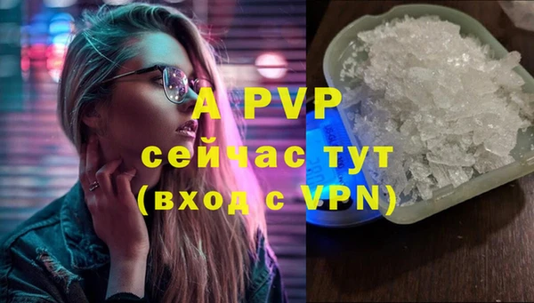 мяу мяу мука Елабуга