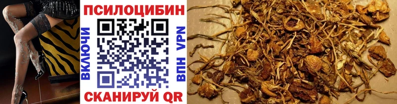 Галлюциногенные грибы мицелий  Купить  Усть-Лабинск 